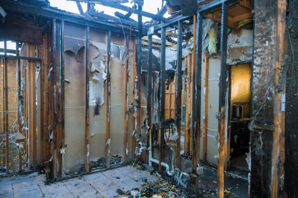 Professional Odor Removal technician working in Andover, MN