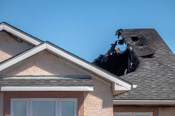 Top rated local Odor Removal specialists in Andover, MN
